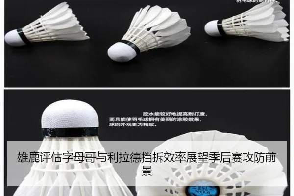 雄鹿评估字母哥与利拉德挡拆效率展望季后赛攻防前景