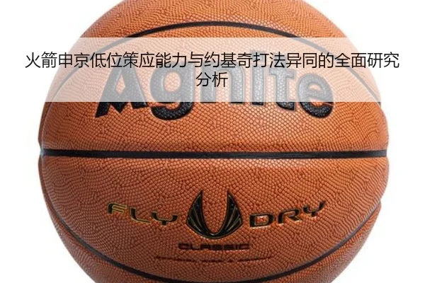 火箭申京低位策应能力与约基奇打法异同的全面研究分析