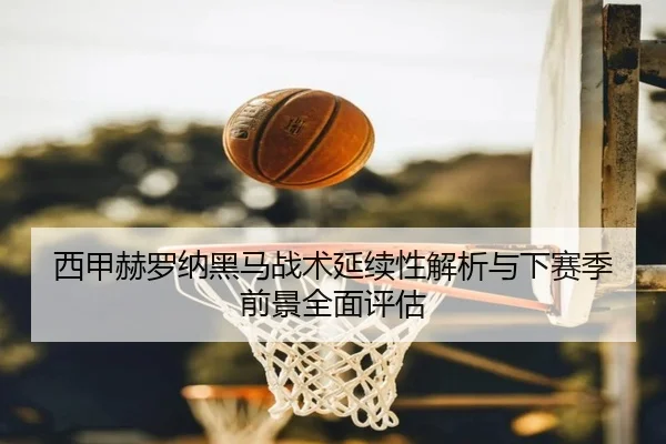 xi-jia-he-luo-na-hei-ma-zhan-shu-yan-xu-xing-jie-xi-yu-xia-sai-ji-qian-jing-quan-mian-ping-gu-2-303.jpg