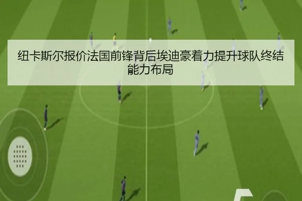 纽卡斯尔报价法国前锋背后埃迪豪着力提升球队终结能力布局